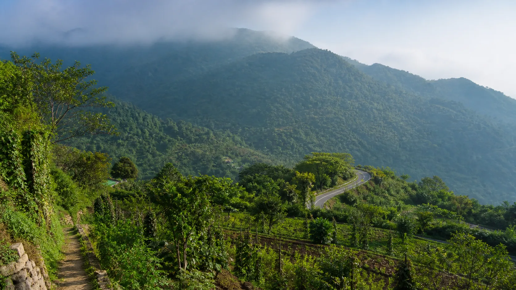 Editorial interpretation of Kolli Hills with a winding mountain road, mixed farms and misty Eastern Ghats slopes