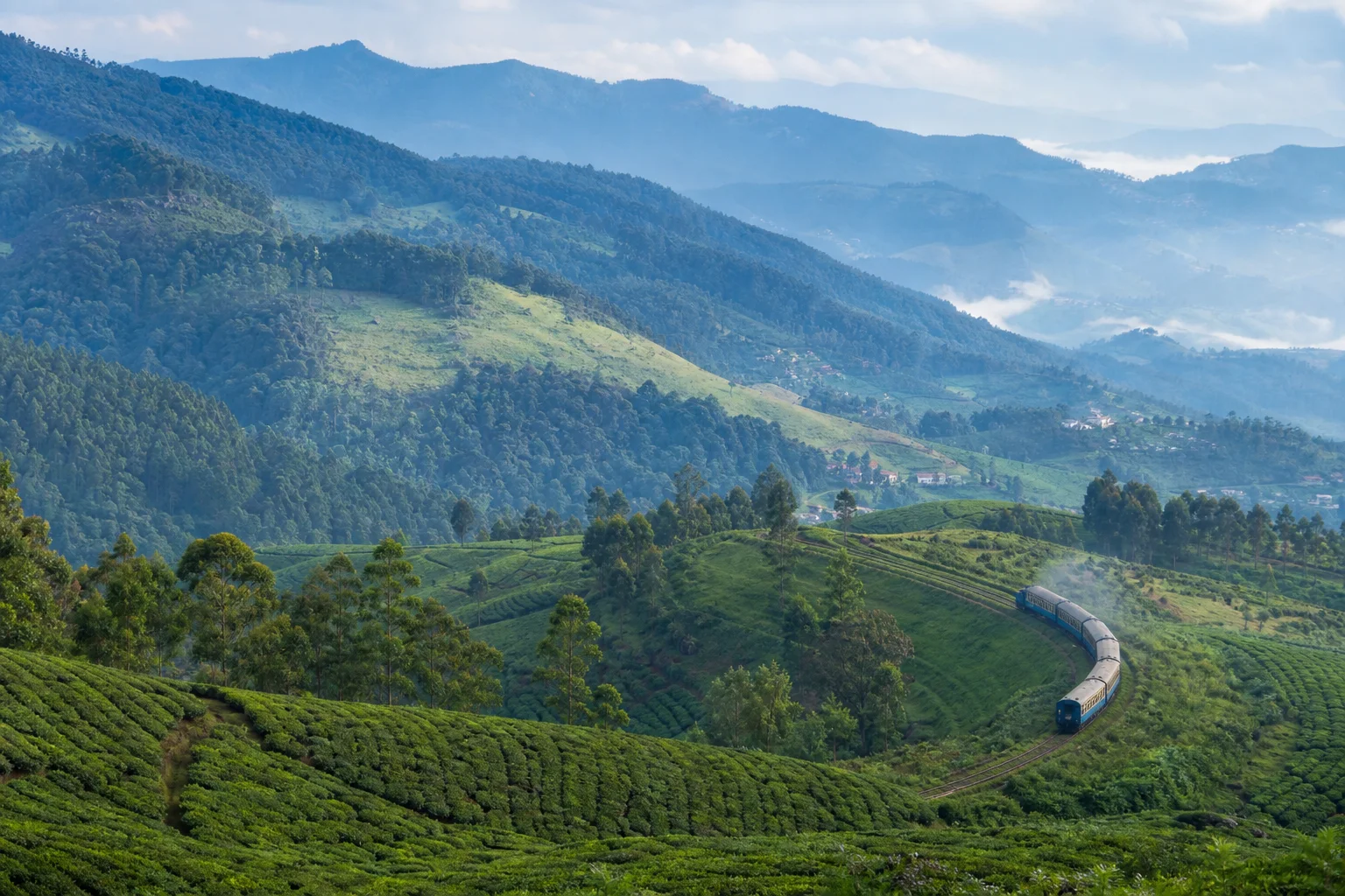 Editorial Nilgiris landscape interpretation with tea slopes, forested hills and a small mountain train