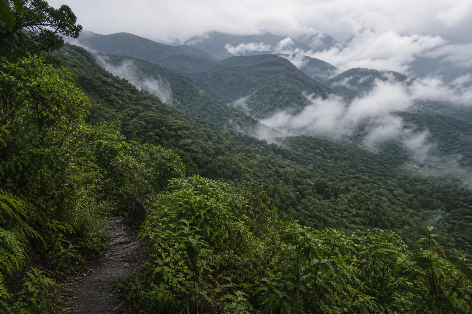 Editorial interpretation of rain-softened forest ridges in the southern Western Ghats with a narrow foreground path