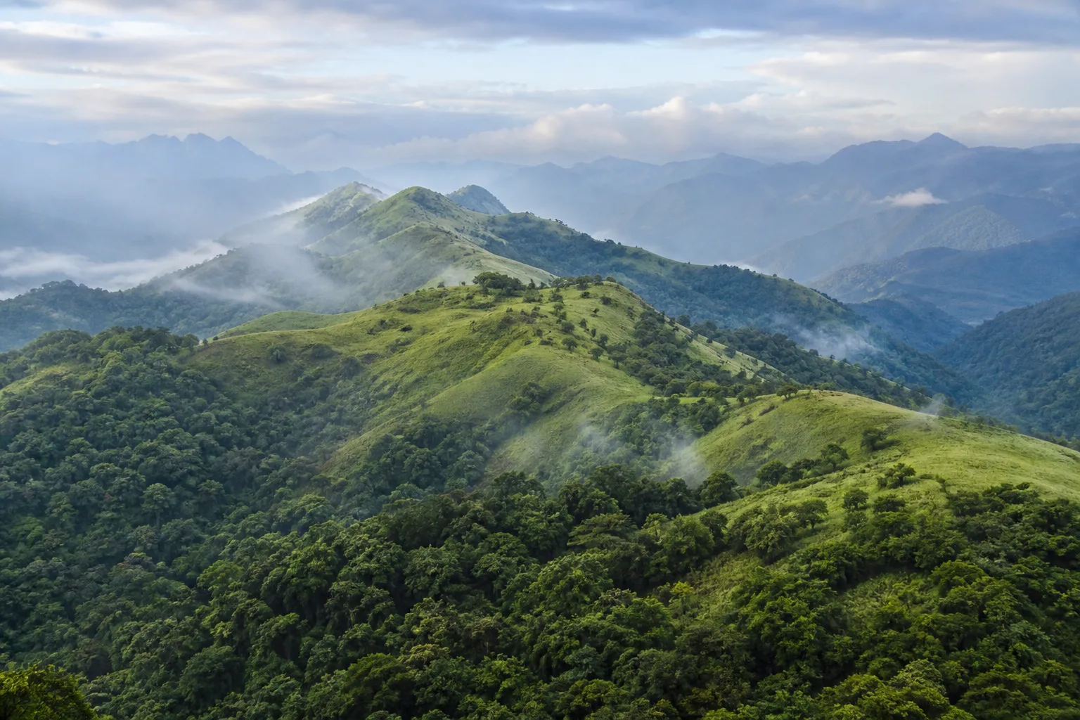 Project-created panoramic interpretation of mist lifting over Western Ghats grassland ridges and forest