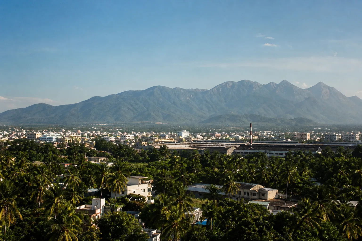 Editorial view of Coimbatore with coconut palms, city buildings and the Western Ghats