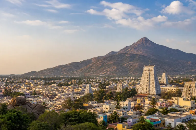 Editorial preview for Tiruvannamalai