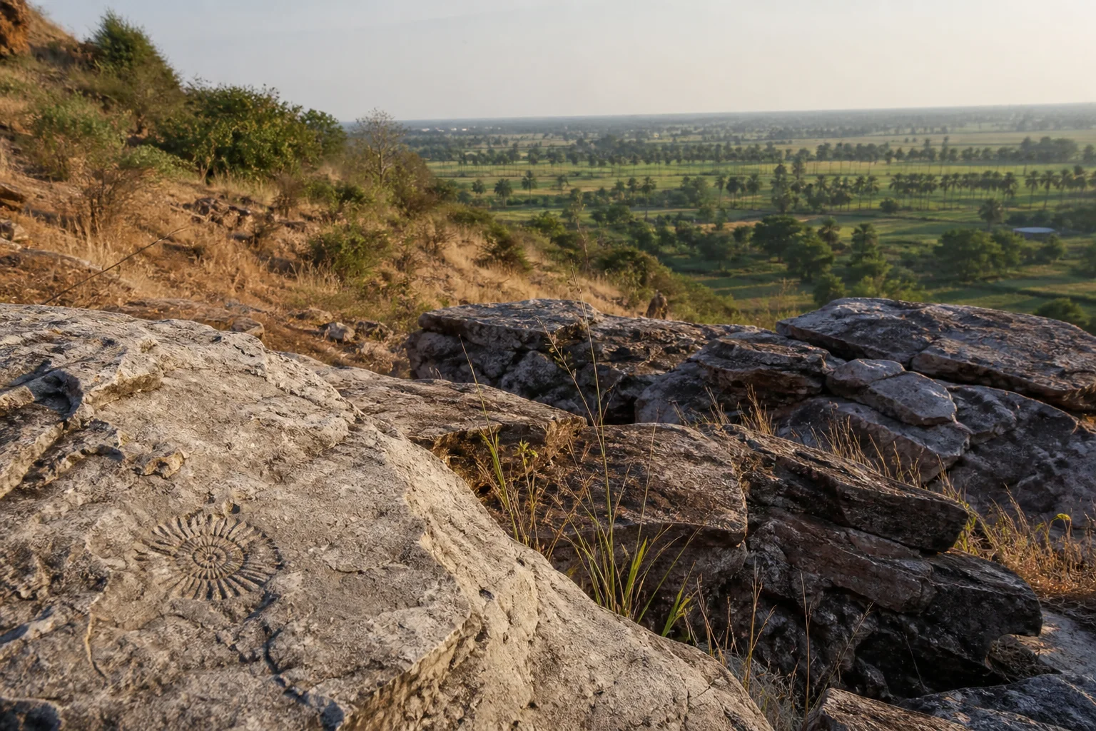 Project-created editorial landscape of fossil-bearing limestone terrain in Ariyalur district