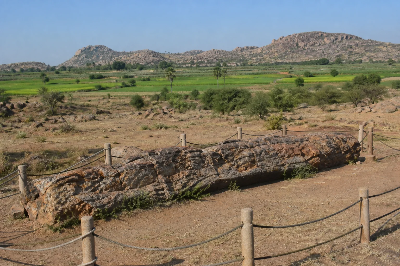 Project-created editorial landscape inspired by Perambalur's fossil wood and uplands
