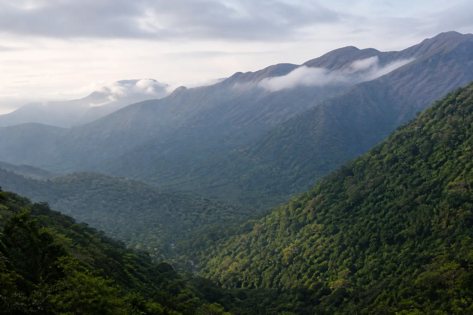 Forested southern Western Ghats ridges and a watershed valley in the Kalakkad-Mundanthurai landscape
