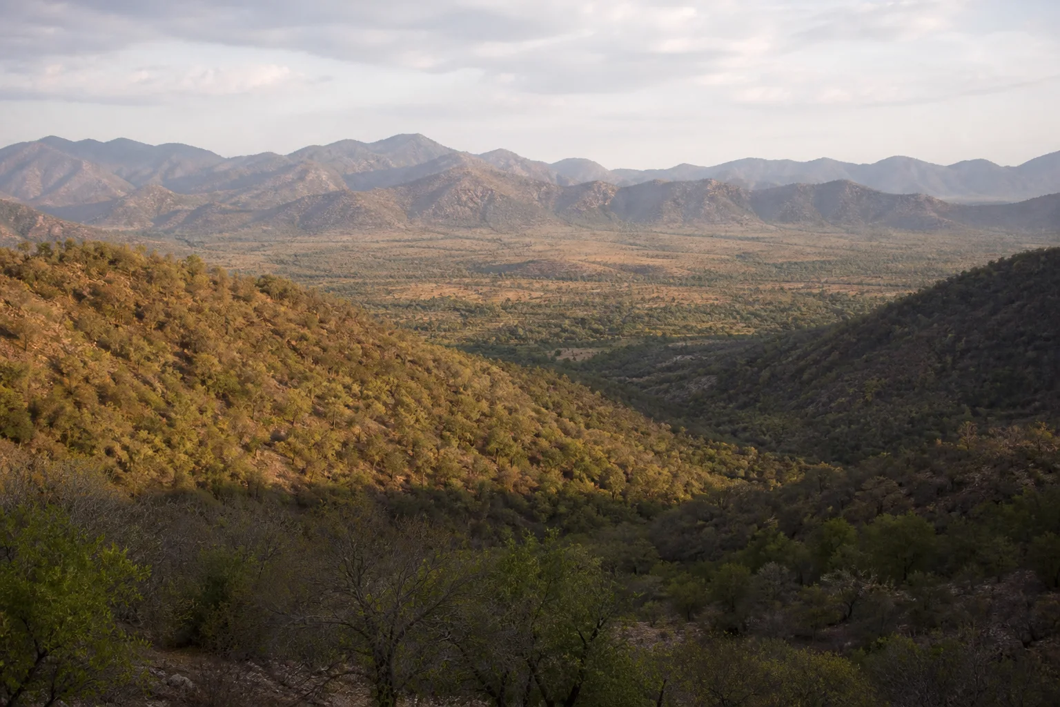 Dry deciduous forest folds and a broad valley in the Sathyamangalam landscape