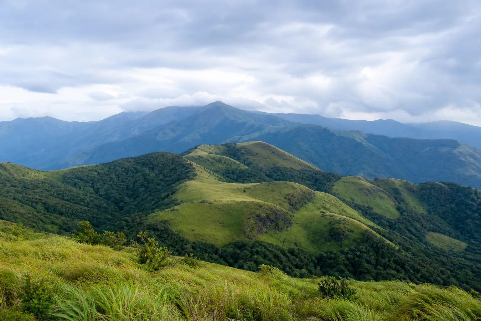 Western Ghats landscape in Tamil Nadu representing nature-led travel experiences